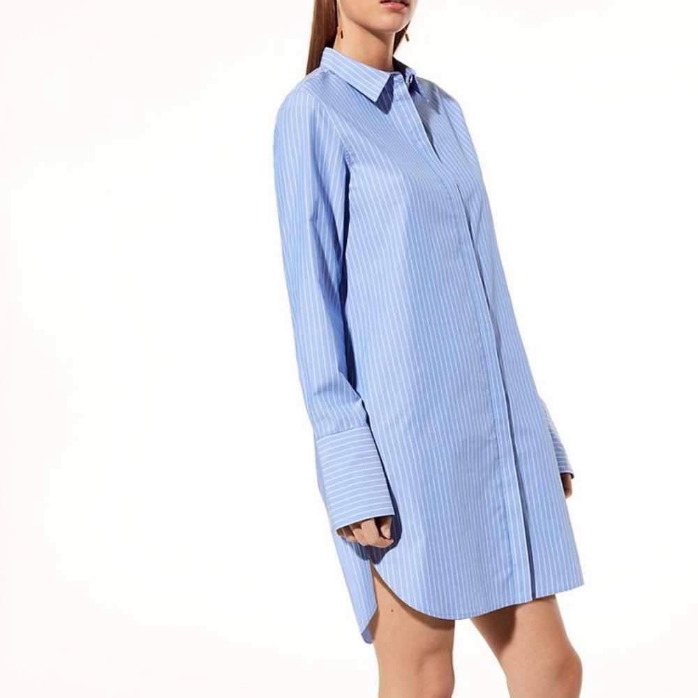 Babaton Carleton Shirt Dress